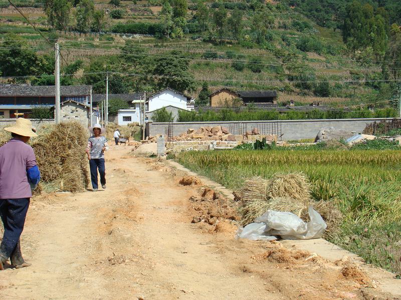 園子頭自然村通村道路