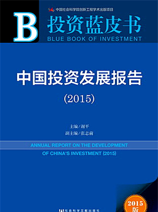 投資藍皮書：中國投資發展報告(2015)