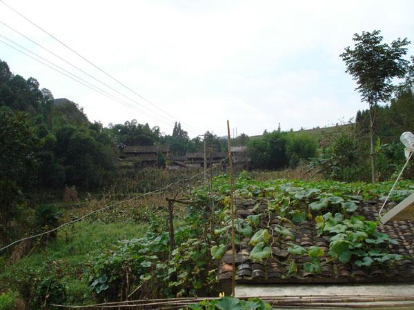 硝廠村(雲南省文山州西疇縣法斗鄉硝廠村)