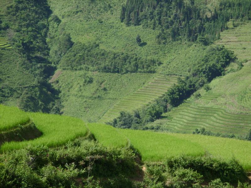 銀匠寨村