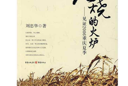 燃燒的火爐(2007年重慶出版社出版的圖書)