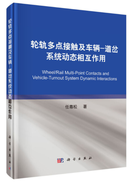 輪軌多點接觸及車輛-道岔系統動態相互作用