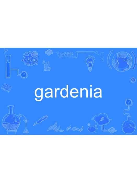 Gardenia