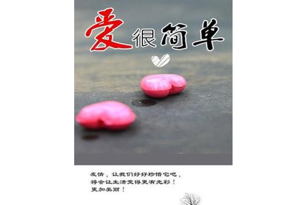 愛很簡單(劉燁所著小說)