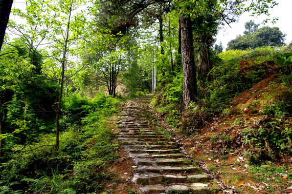 金山古道