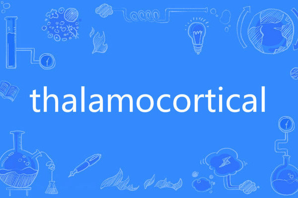 thalamocortical