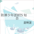 防彈少年團BTS 知否