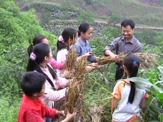 田間教育