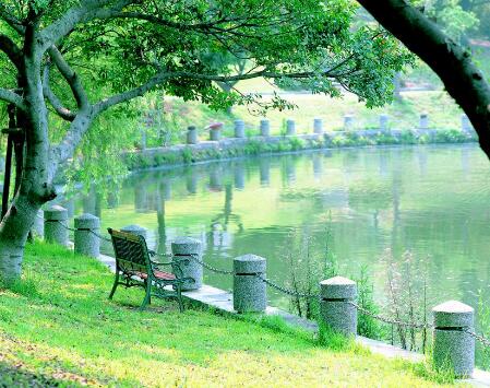 台灣陽明交通大學(陽明交通大學)