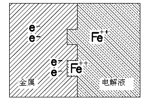 鐵腐蝕後形成Fe++