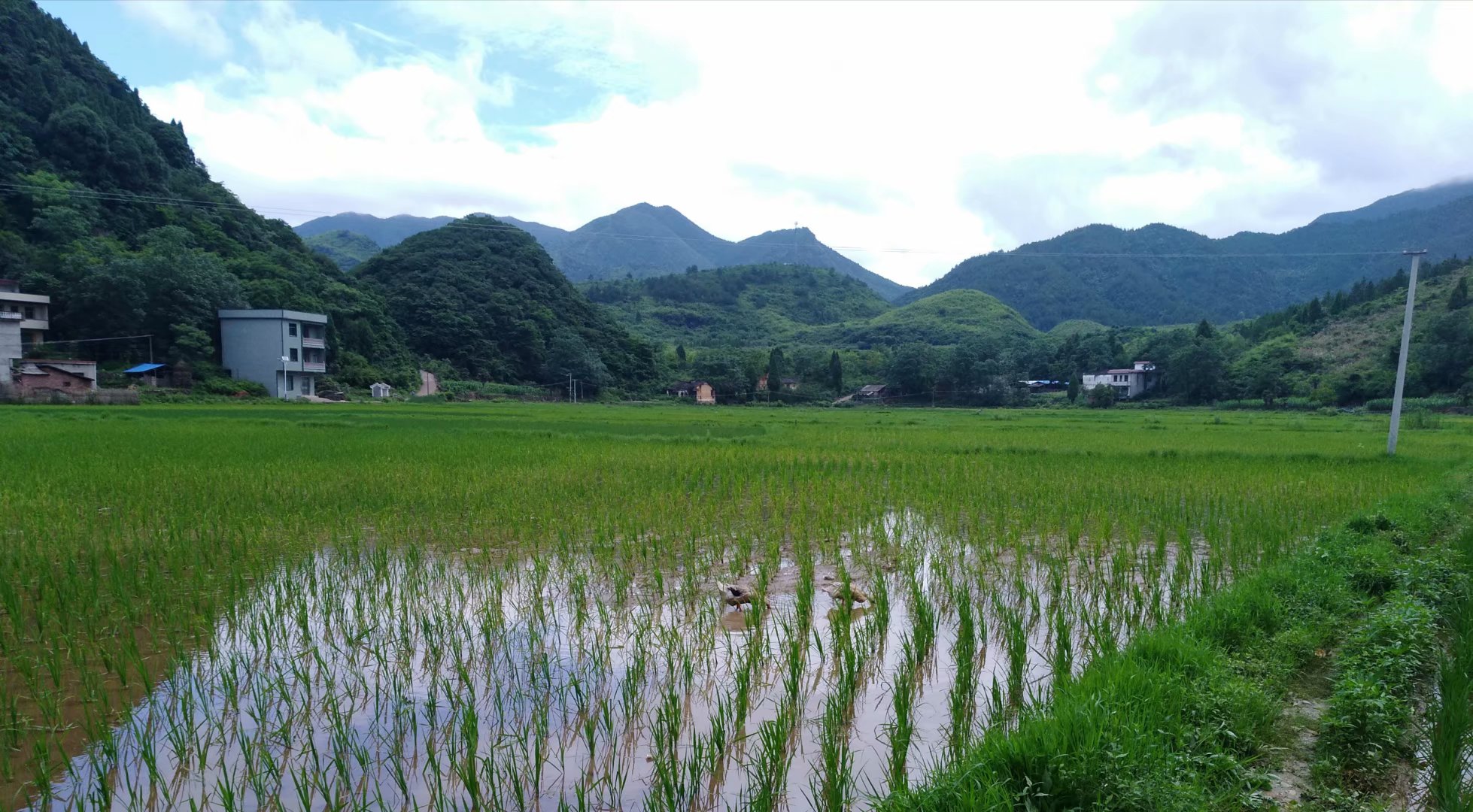 落洞村