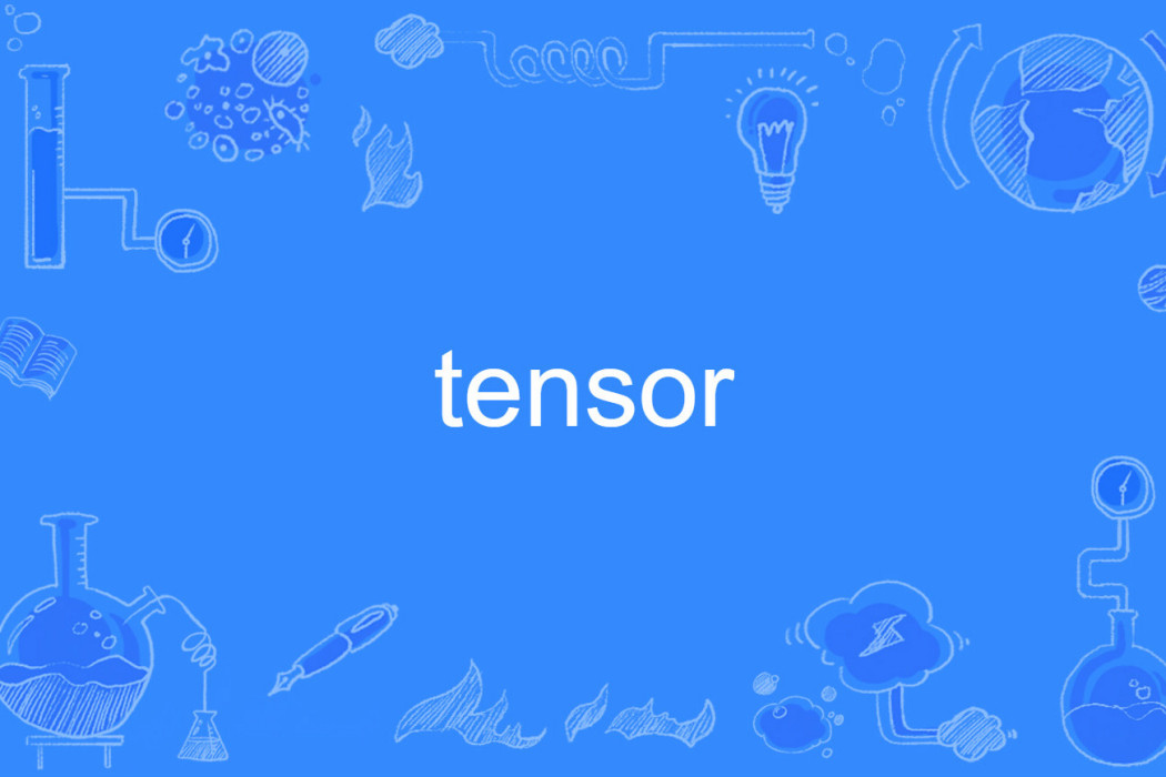 tensor(英語單詞)