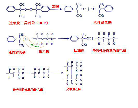 交聯聚乙烯