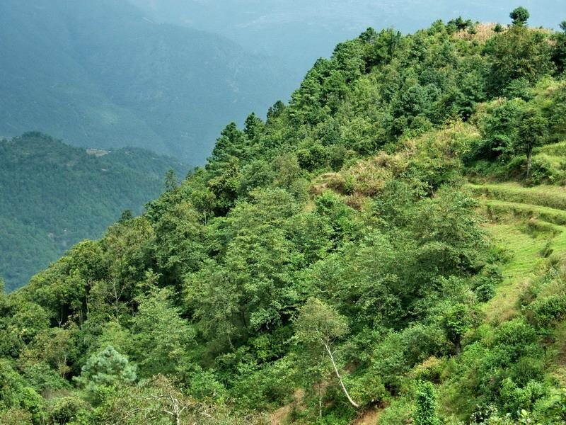 荒田山自然村(雲南省永德縣勐板鄉怕掌村委會)