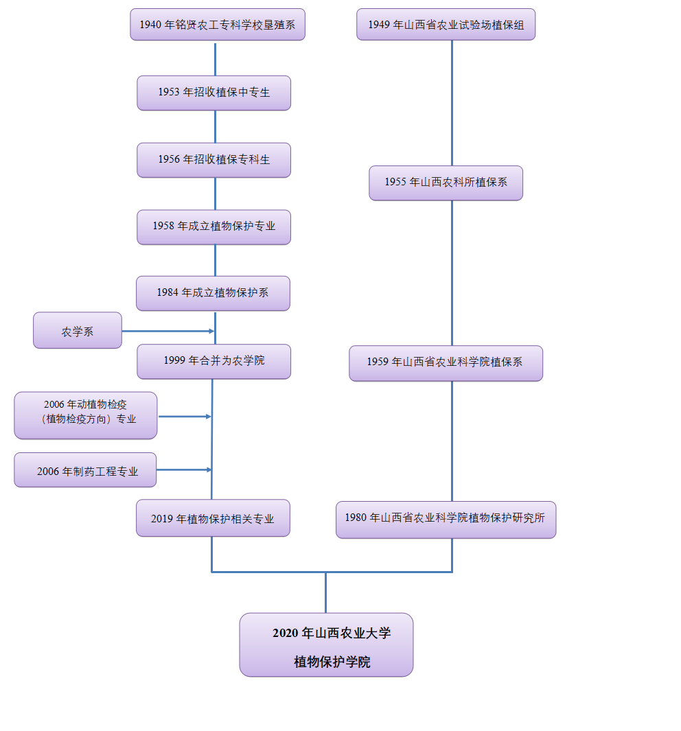 歷史沿革