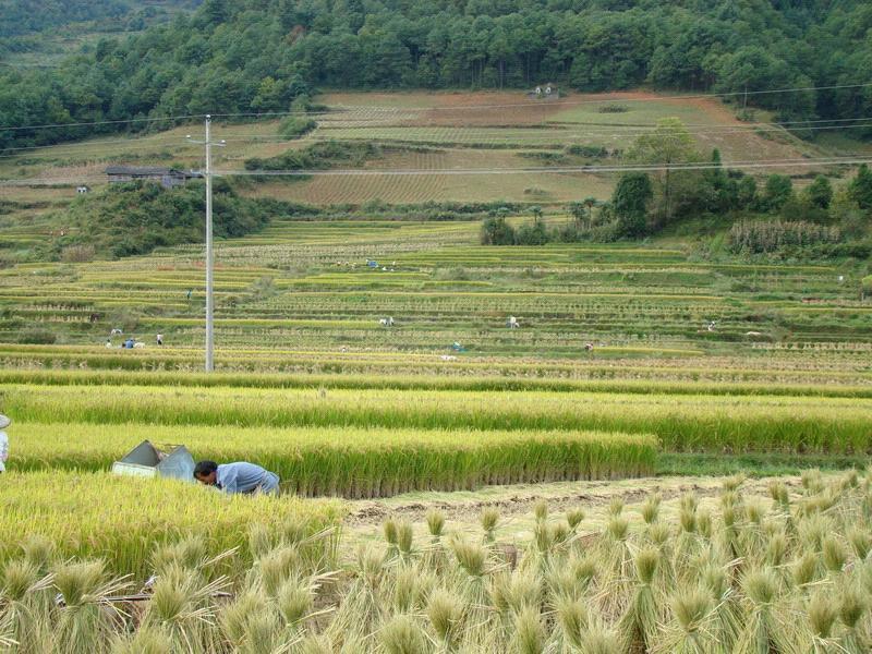 大窯壩自然村