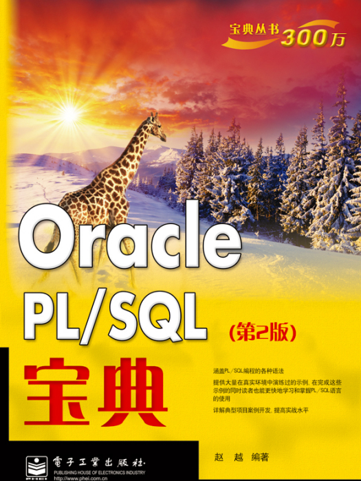 OraclePL/SQL寶典（第2版）