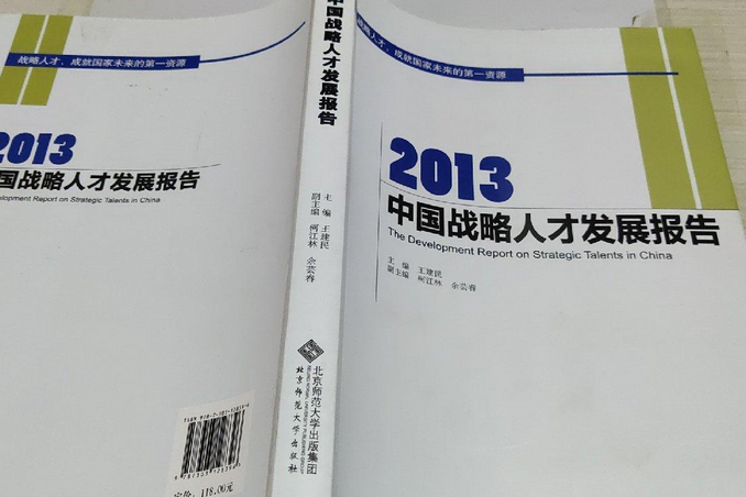 2013中國戰略人才發展報告