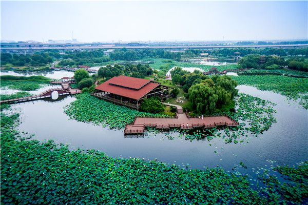 蘇州荷塘月色省級濕地公園