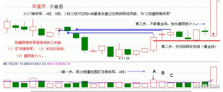 陽蓋陰