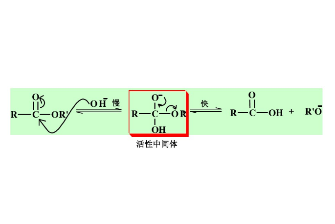 雙分子鹼催化醯氧斷裂