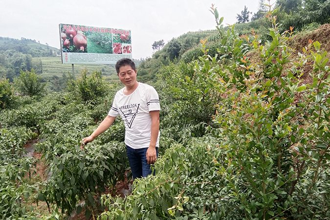 張祖國(雲南建投第二安裝工程有限公司職工)