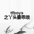 tfboys之丫頭要乖喔