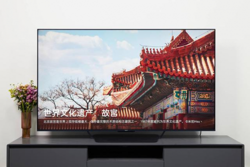 OPPO TV S1