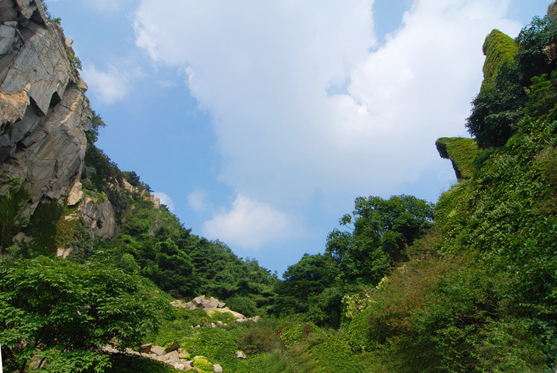 費縣國有林場總場