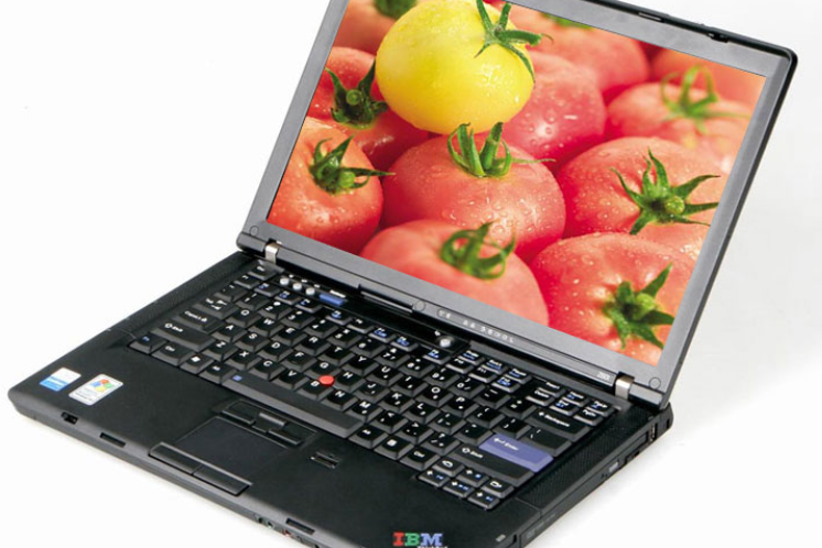 IBM ThinkPad Z60T 251218C