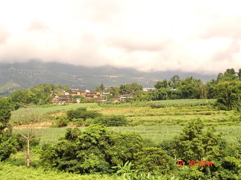 新莊自然村(雲南省曲靖市陸良縣召夸鎮新莊村)