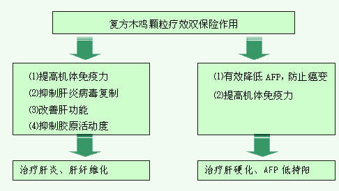 丹東複方木雞顆粒