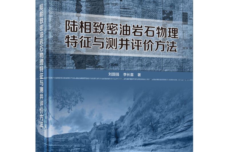 陸相緻密油岩石物理特徵與測井評價方法