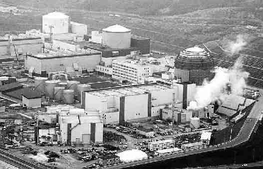日本泊核電站