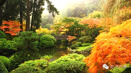 波特蘭日本花園