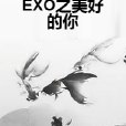 EXO之美好的你