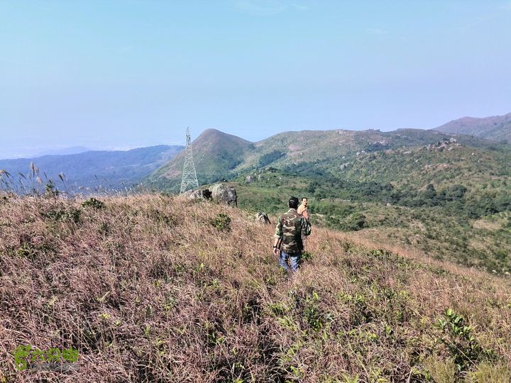 鎮隆村