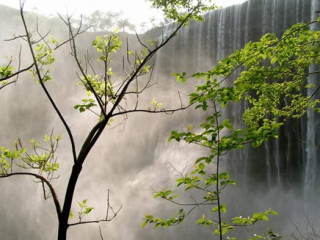 上邦山居歲月