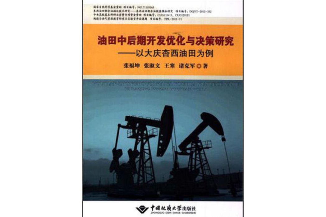 油田中後期開發最佳化與決策研究以大慶杏西油田為例