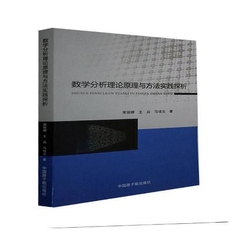 數學分析理論原理與方法實踐探析