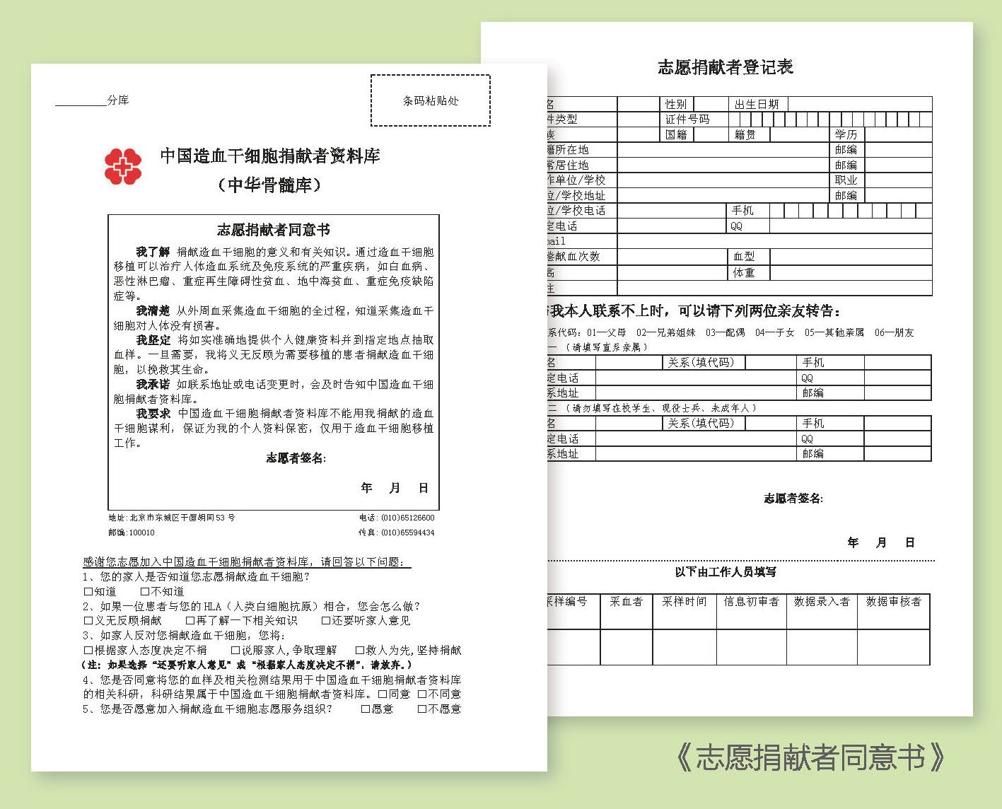 中華骨髓庫