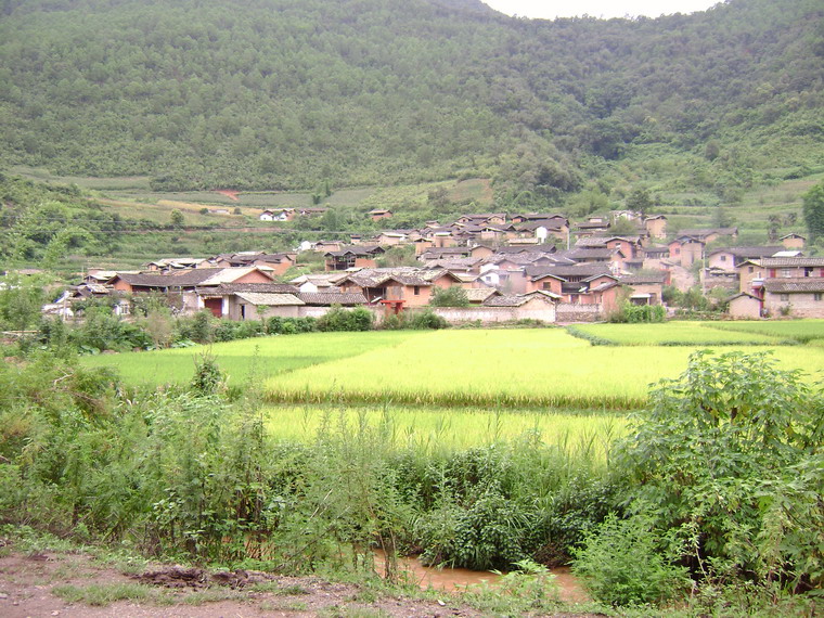 岔河鄉(雲南省峨山縣岔河鄉)