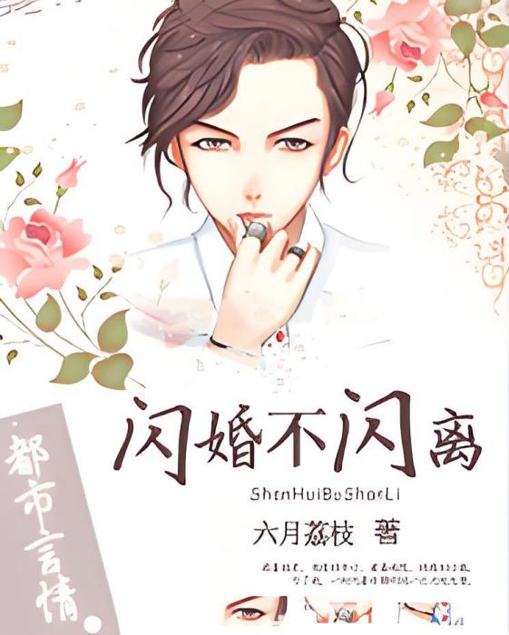 閃婚不閃離(六月荔枝創作的現代言情小說作品)