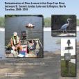 Determination of Flow Losses in the Cape Fear River Between B. Everett Jordan Lake and Lillington, North Carolina, 2008?2010