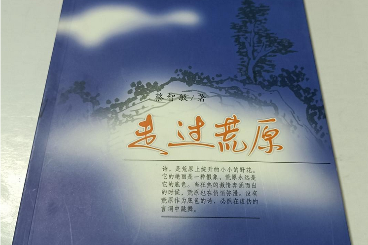 走過荒原(2006年大眾文藝出版社出版的圖書)