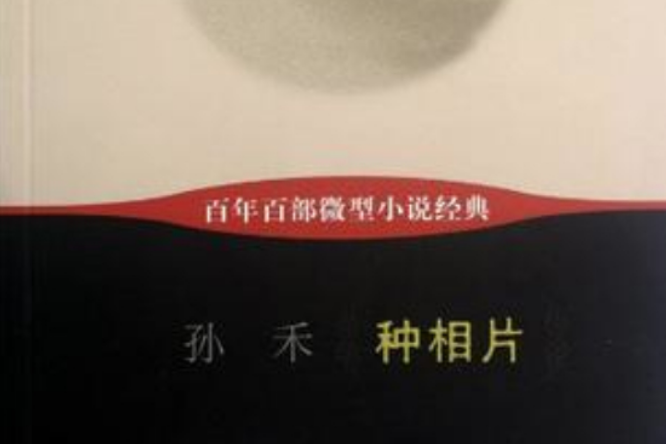 種相片-百年百部微型小說經典(種相片)