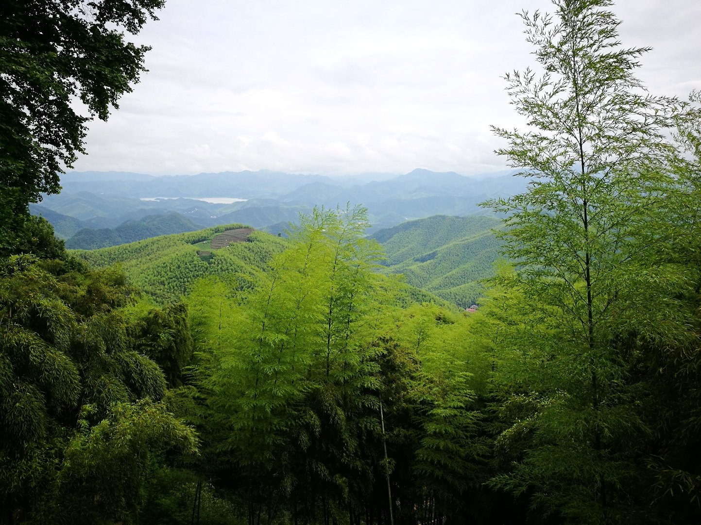 浙江德清莫乾山森林公園