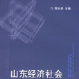 山東經濟社會民展和改革政策研究