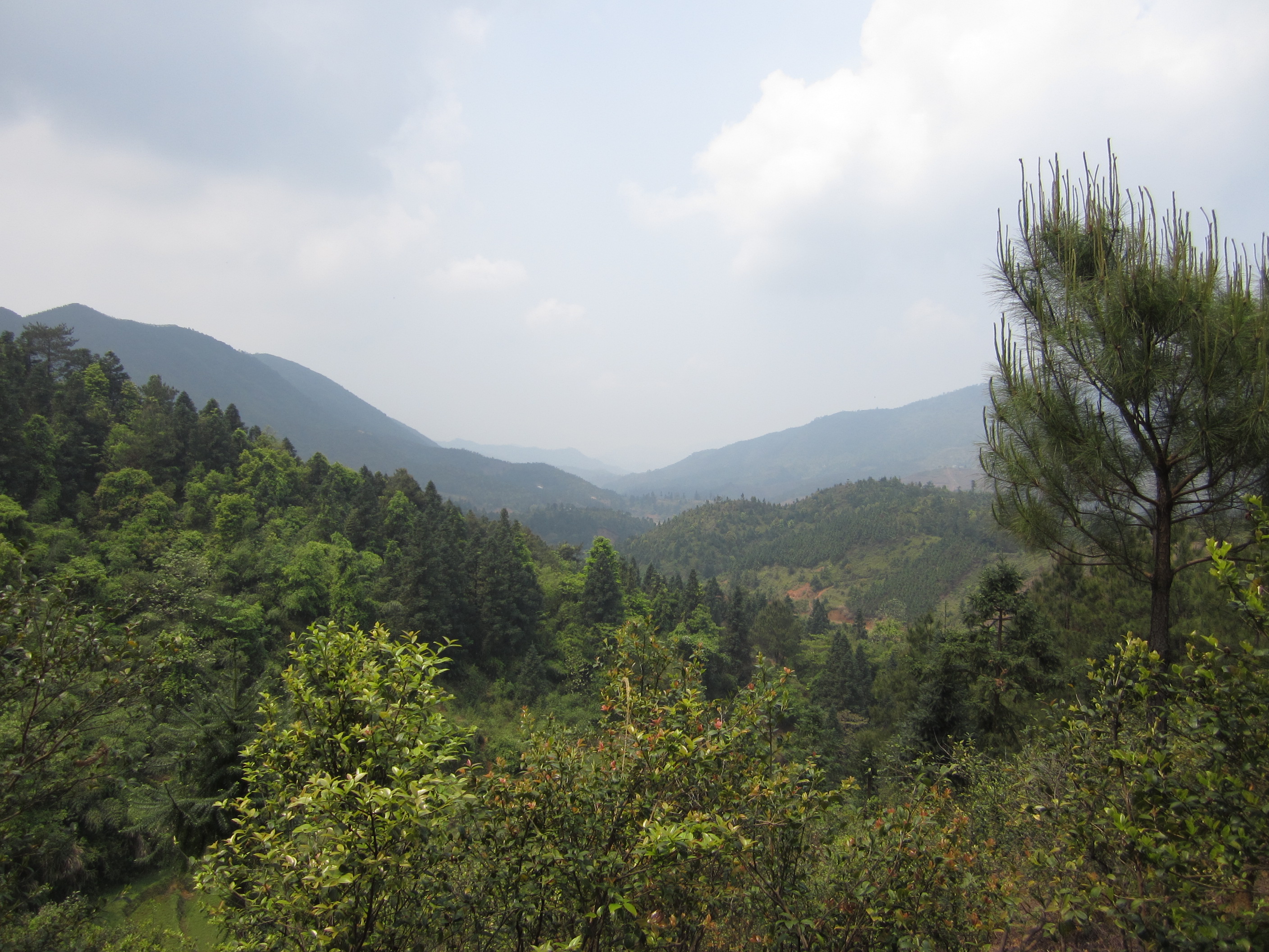 三縣墩遠眺