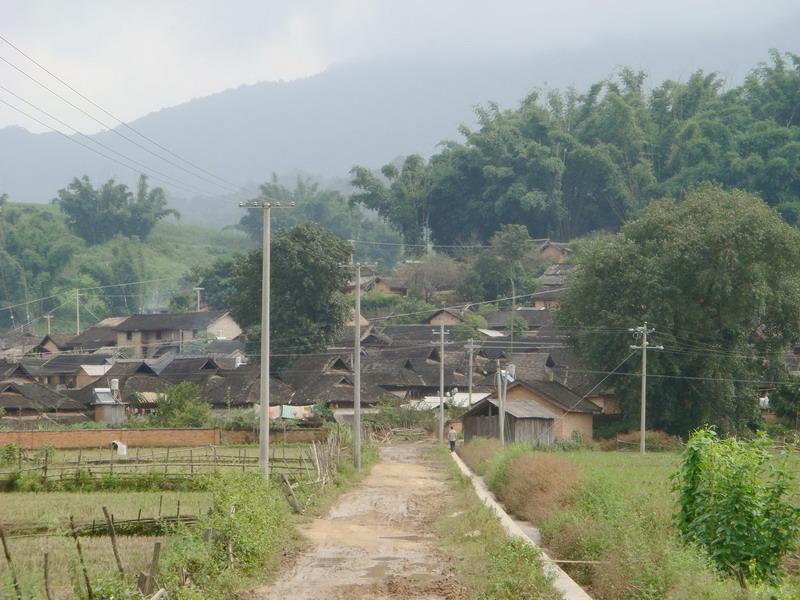 進村道路